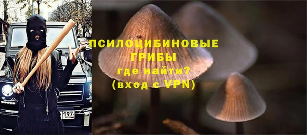 спайс Алзамай