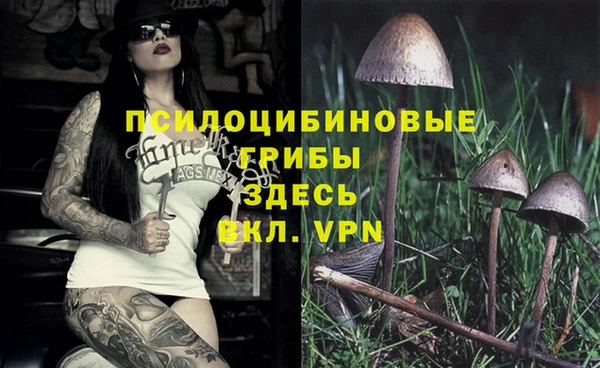 таблы Абинск