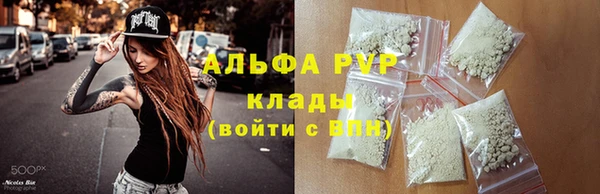 спайс Алзамай