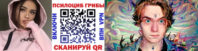Галлюциногенные грибы Psilocybine cubensis МЕГА ONION Элиста
