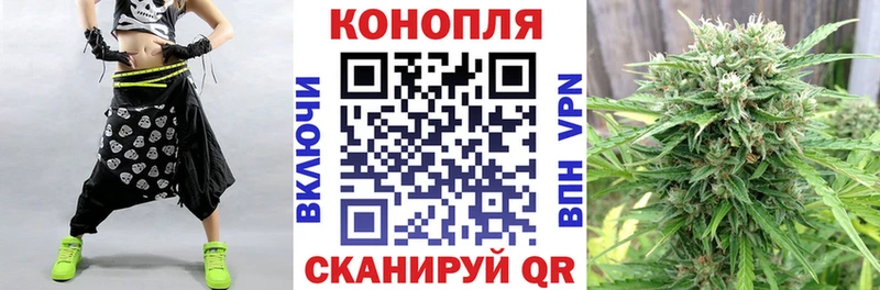 Канабис White Widow  нарко площадка какой сайт  Элиста 